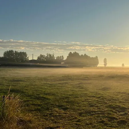 Kamille * Middelkerke